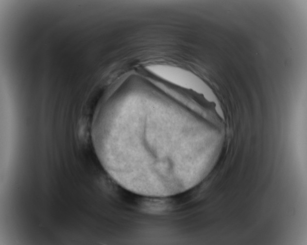 X0000086290671200704201924