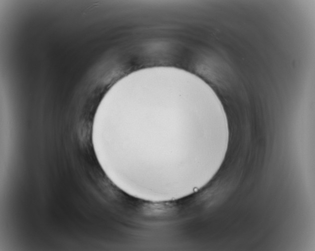 X0000086290672200704201924
