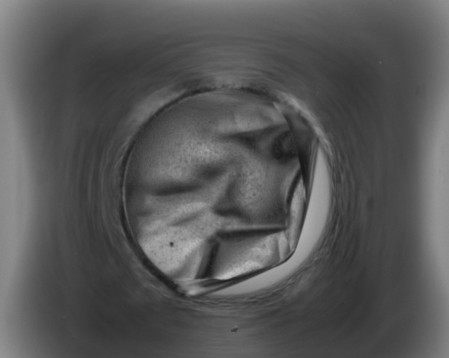 X0000086290673200704201923