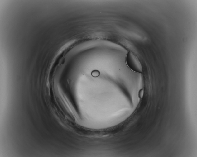 X0000086290674200704201923