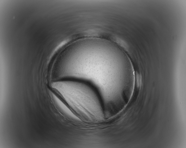 X0000086290675200704201923