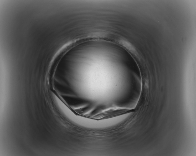 X0000086290676200704201923