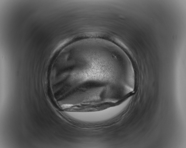 X0000086290677200704201923