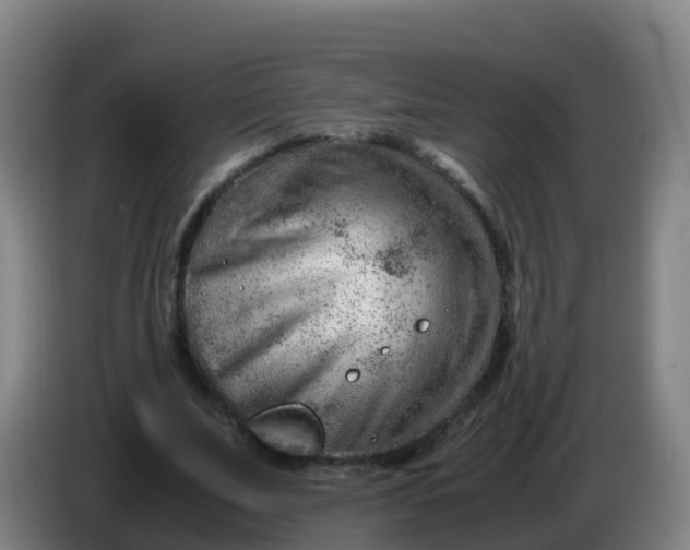 X0000086290679200704201923