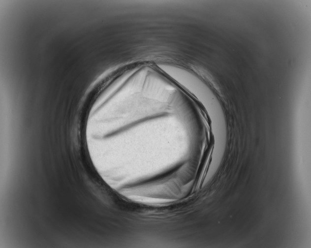 X0000086290680200704201923