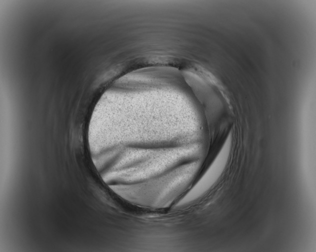 X0000086290681200704201923