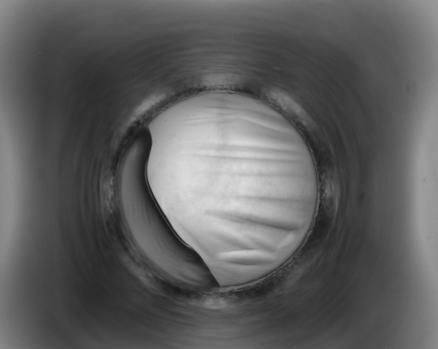 X0000086290684200704201923