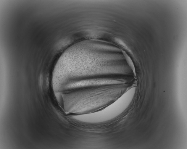 X0000086290685200704201923