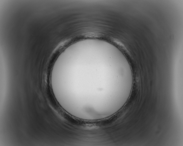 X0000086290686200704201923