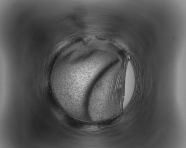 X0000086290687200704201923