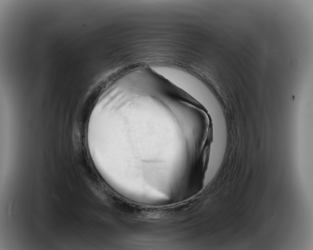 X0000086290688200704201923