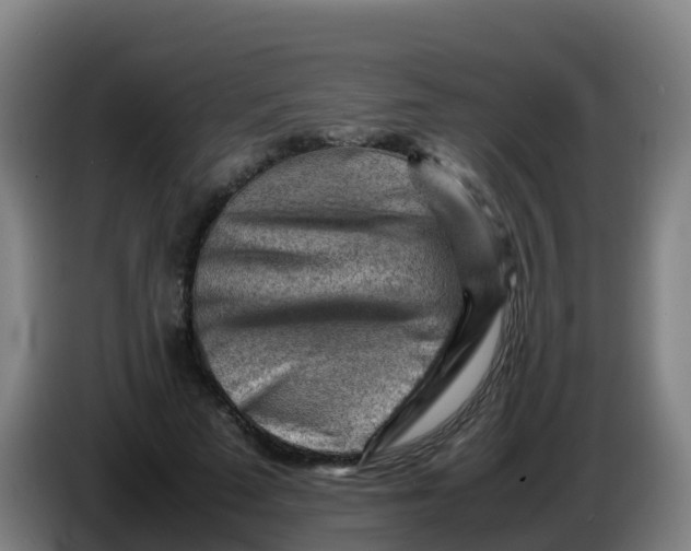 X0000086290689200704201923