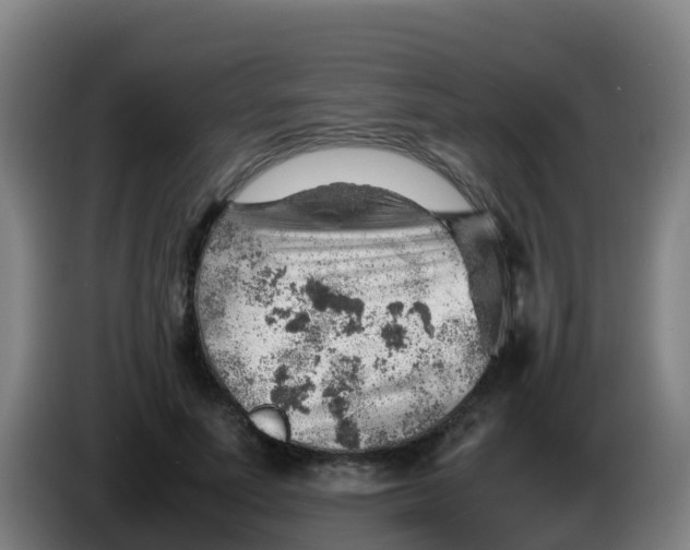 X0000086290691200704201923