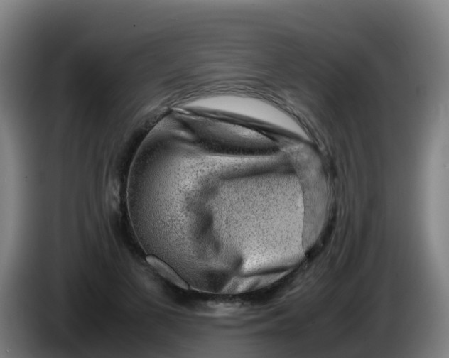 X0000086290693200704201923