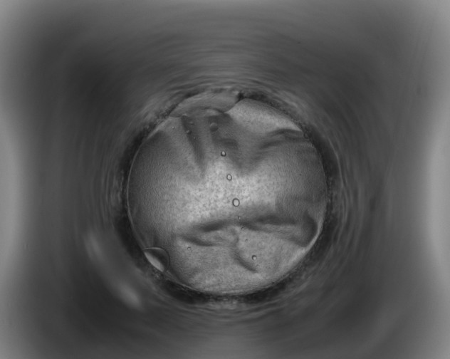 X0000086290695200704201923