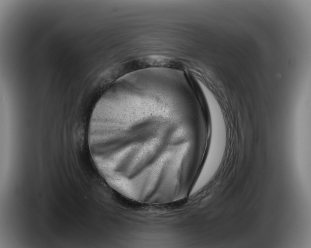 X0000086290697200704201923