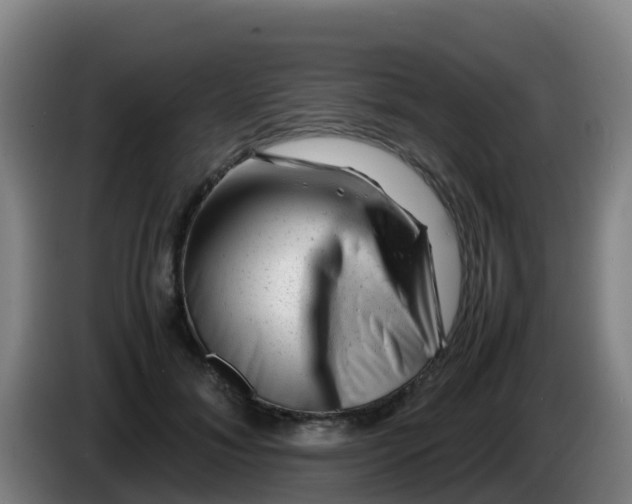 X0000086290700200704201923