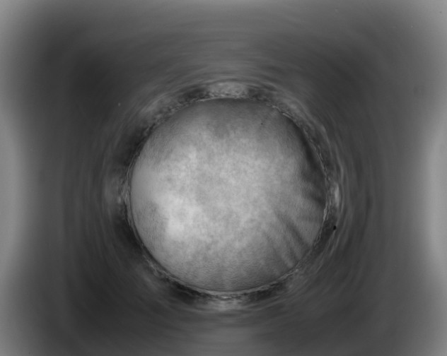 X0000086290701200704201923