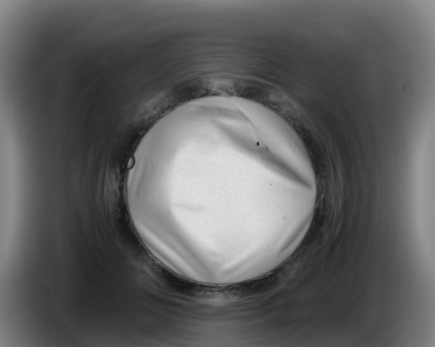 X0000086290702200704201923