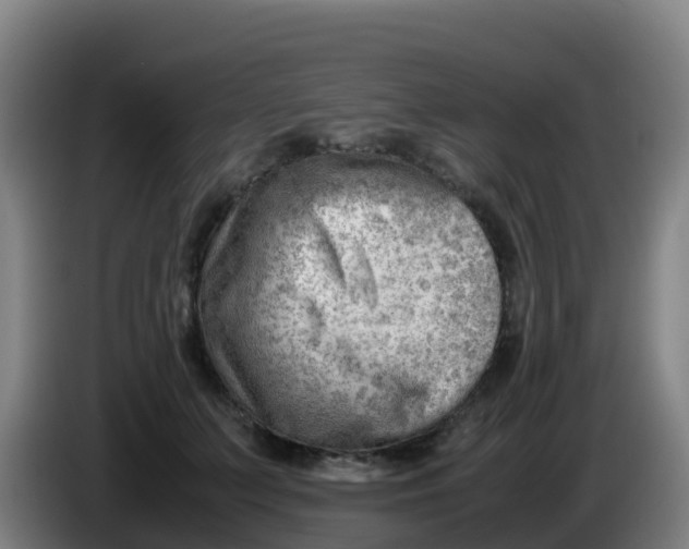 X0000086290703200704201923