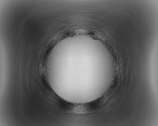 X0000086290705200704201923