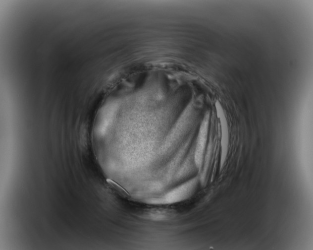 X0000086290708200704201923