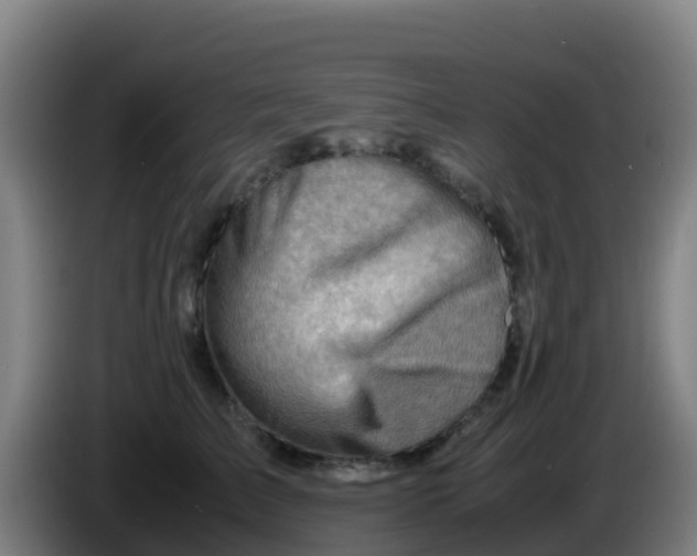 X0000086290709200704201923