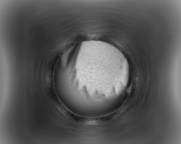X0000086290710200704201923