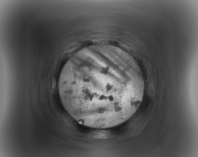 X0000086290711200704201923