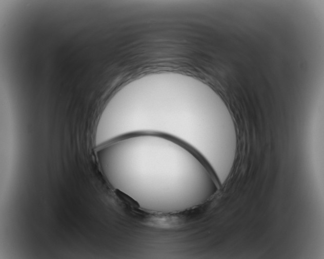 X0000086290712200704201923