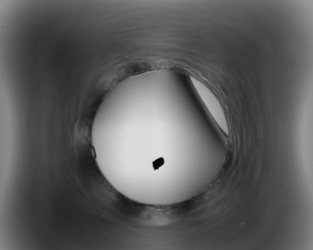 X0000086290713200704201923