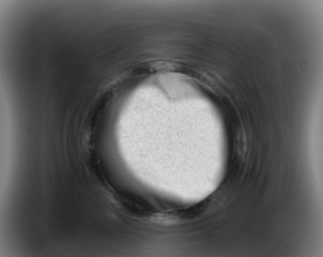X0000086290714200704201923