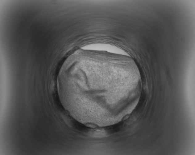X0000086290715200704201923