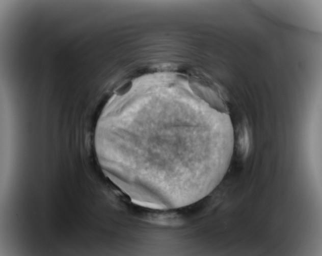 X0000086290716200704201923