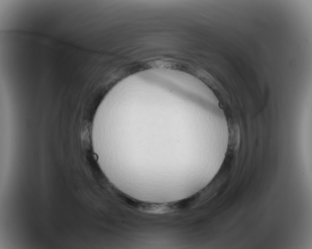 X0000086290717200704201923