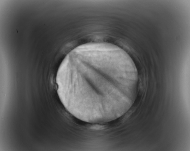 X0000086290718200704201923