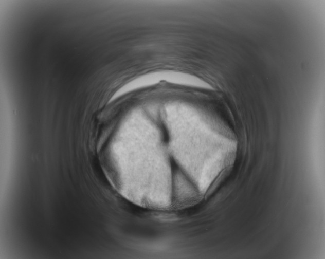 X0000086290719200704201923