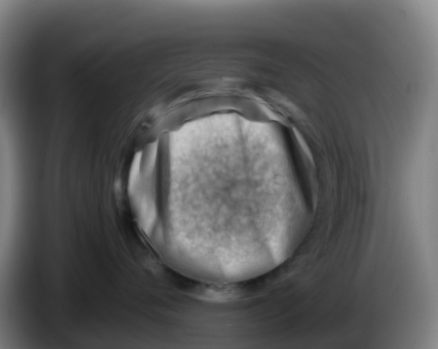 X0000086290720200704201923