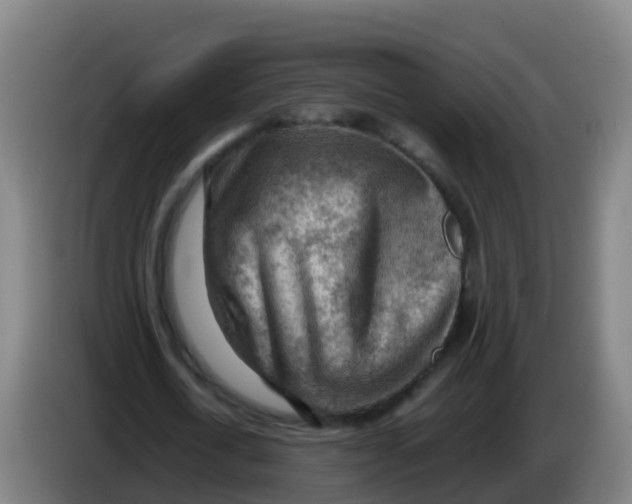 X0000086290722200704201922
