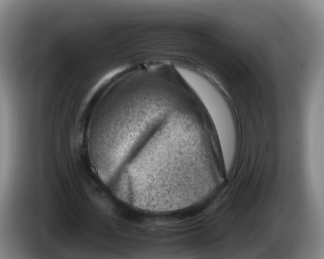 X0000086290723200704201922
