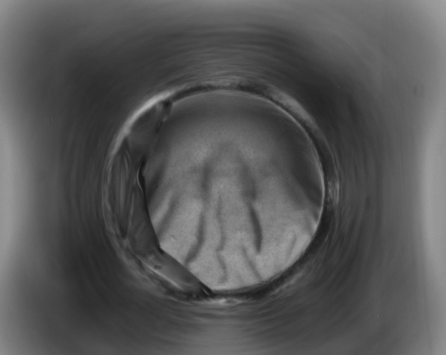 X0000086290724200704201922