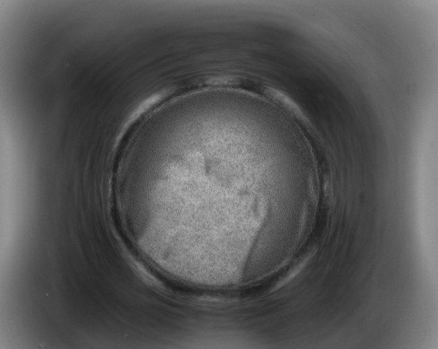 X0000086290725200704201922