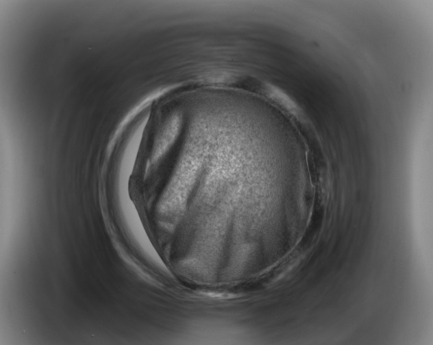 X0000086290726200704201922