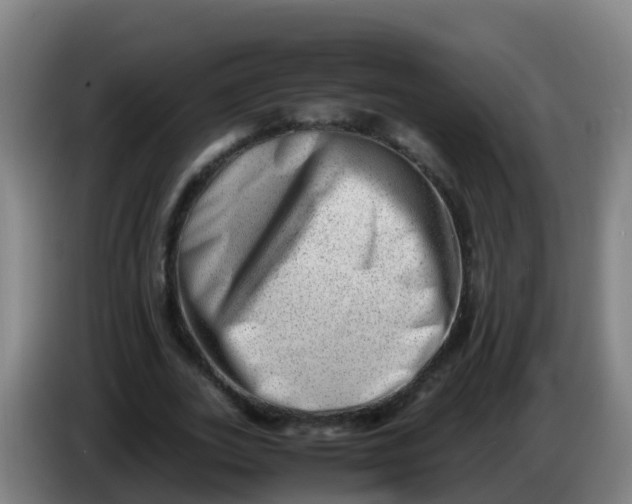 X0000086290727200704201922