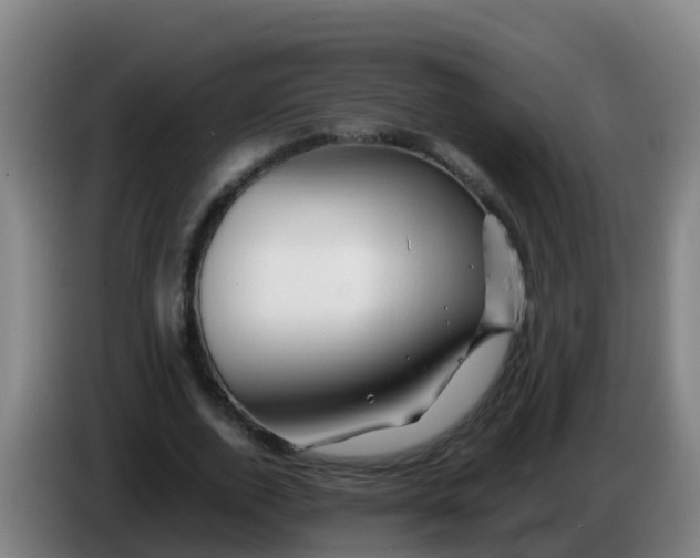 X0000086290728200704201922