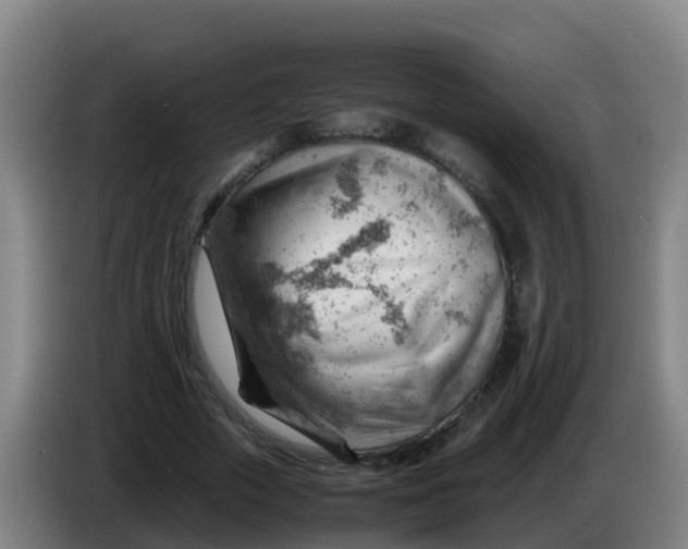 X0000086290729200704201922