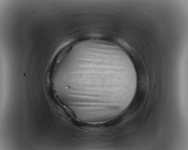 X0000086290731200704201922