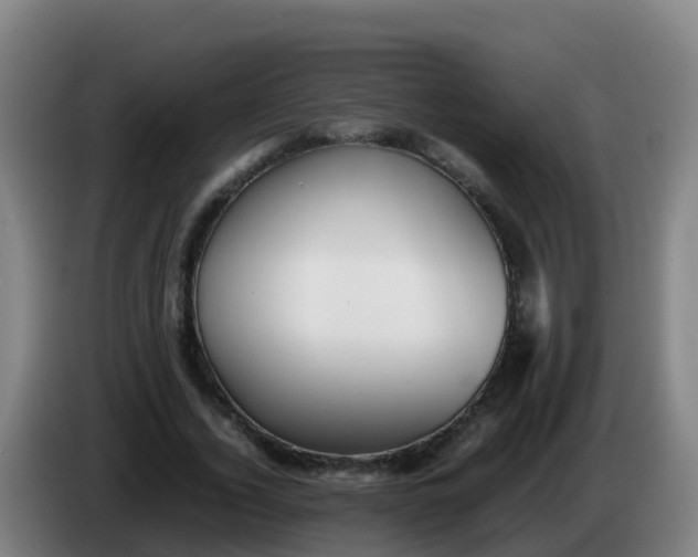 X0000086290732200704201922