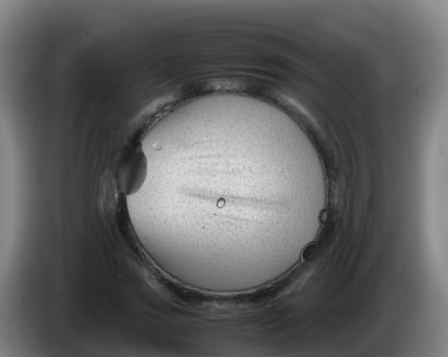 X0000086290733200704201922