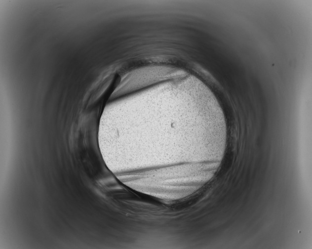 X0000086290734200704201922